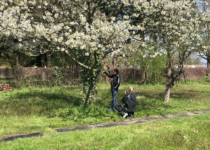 Hostal Hof Maerkische Heide *